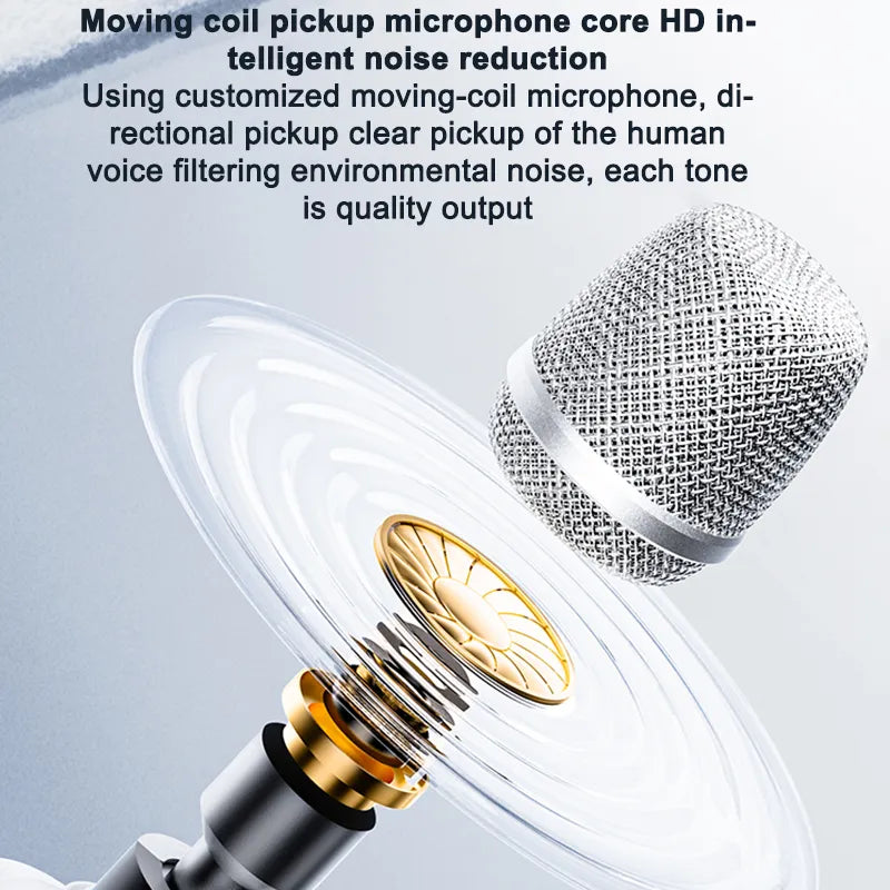 Karaoke Microphone